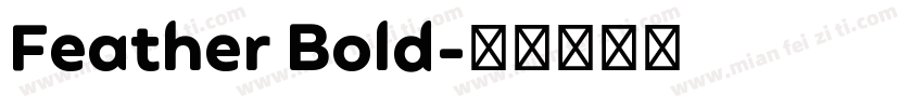 Feather Bold字体转换